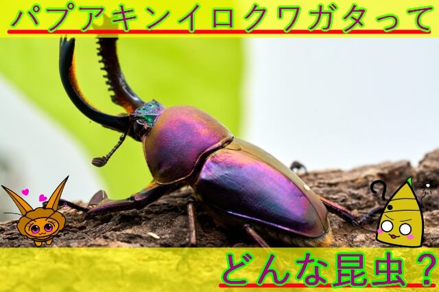 Thumbnail of post image 043